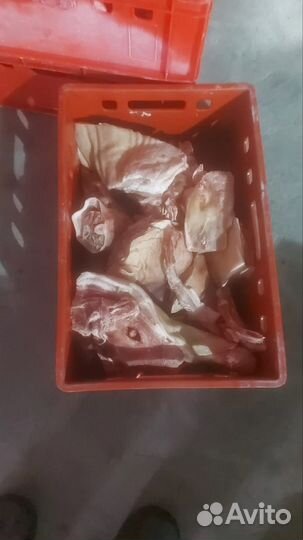 Мясо и кости для собак