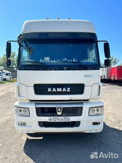 КамАЗ 5490 NEO, 2017