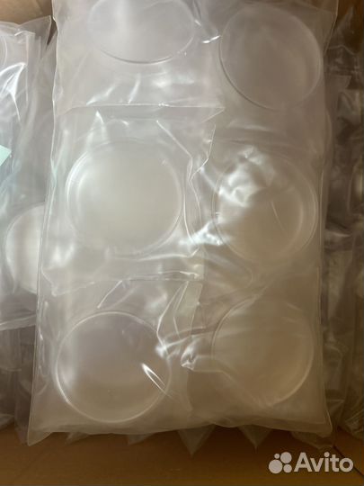 Чашка петри