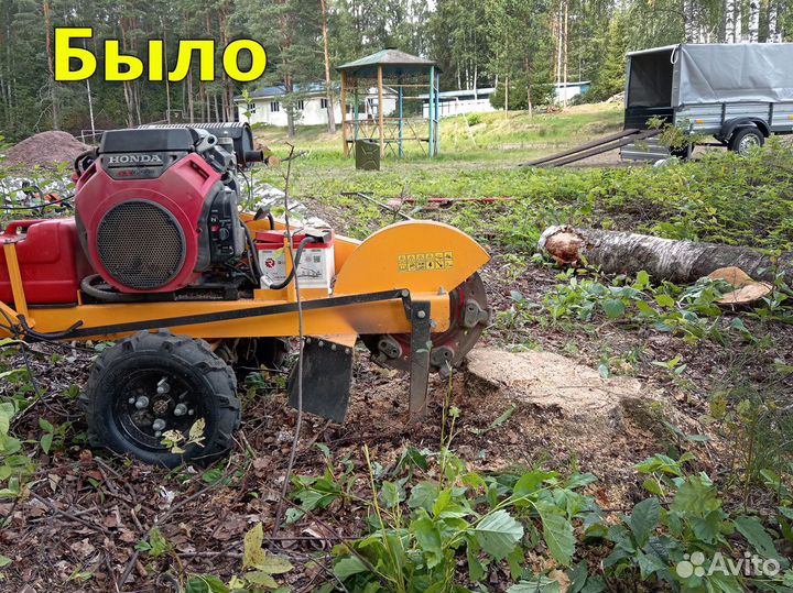 Удаление пней. Дробление пней без корчевания