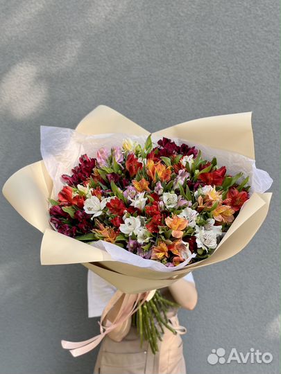 Букет из 35 Альстромерий микс в матовой бумаге