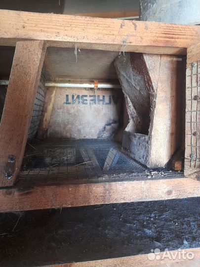 Клетка для кроликов