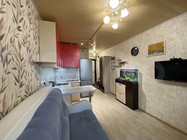 Квартира-студия, 21,6 м², 4/19 эт.