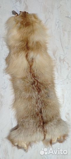 Шкура рыжей лисы