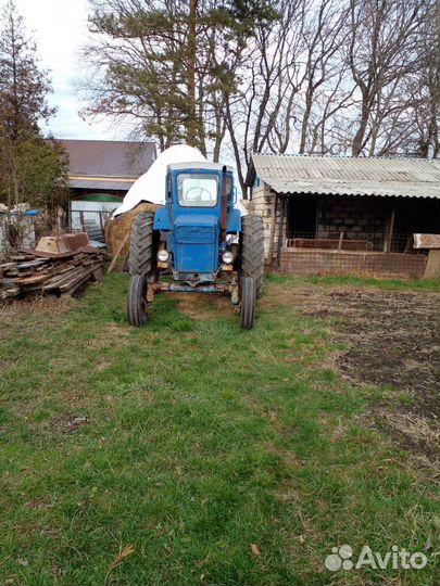 Трактор ЛТЗ Т-40, 1980