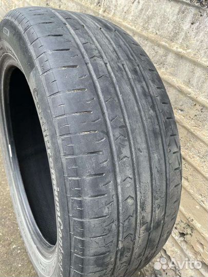 Accelera Gamma R4 22F