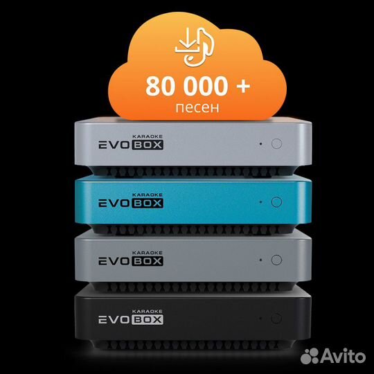 Караоке для дома Evobox