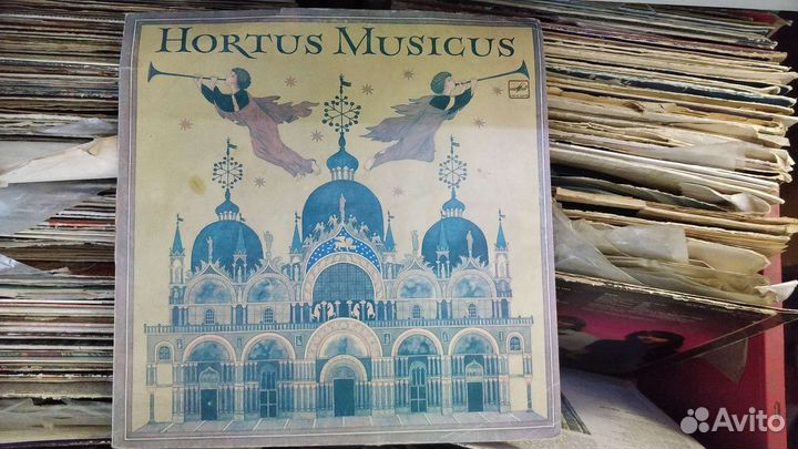 Виниловые пластинки