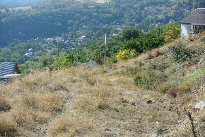 Участок 8 сот. (ИЖС)