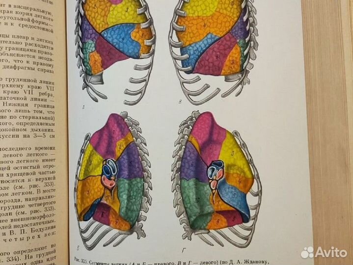 Курс оперативной хирургии и топ. анатомии