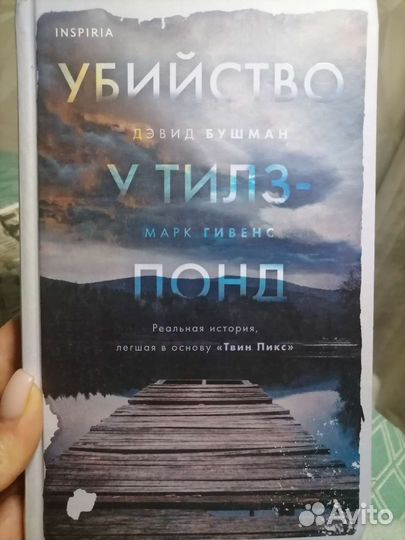 Книга дэвид бушман убийство у тилз понд