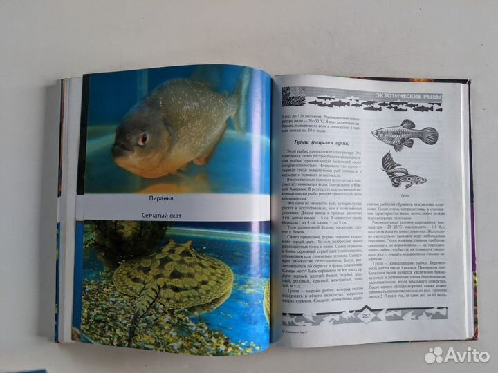 Книги по Аквариумистике