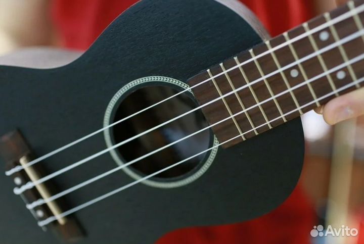 Укулеле концерт