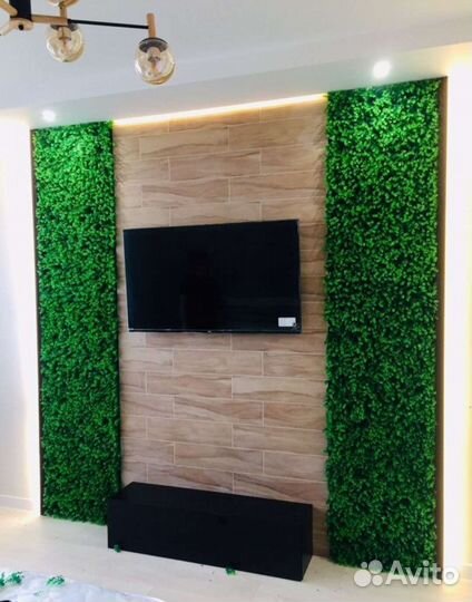 Стены, картины из стабилизированного мха