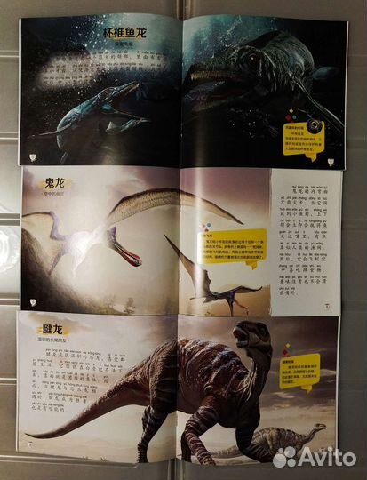 Книги на китайском языке для детей, Динозавры