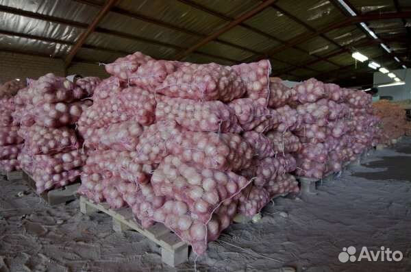 Овощи оптом