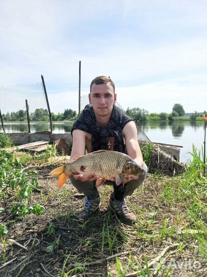 Рыбалка в Старом Победилово и Зеленом Бору