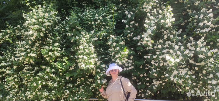 Репетитор по английскому языку онлайн