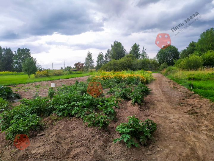 Дом 50 м² на участке 22 сот.