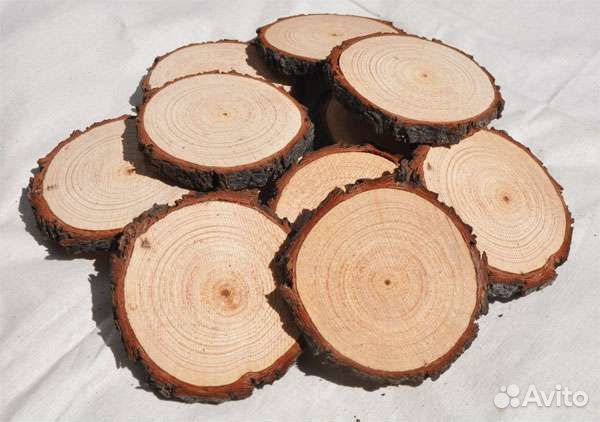 Спилы дерева для декора
