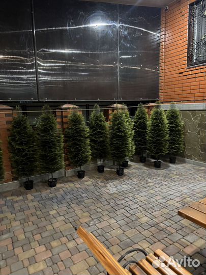 Туя искусственная