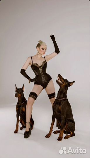 Фотосессия с доберманом