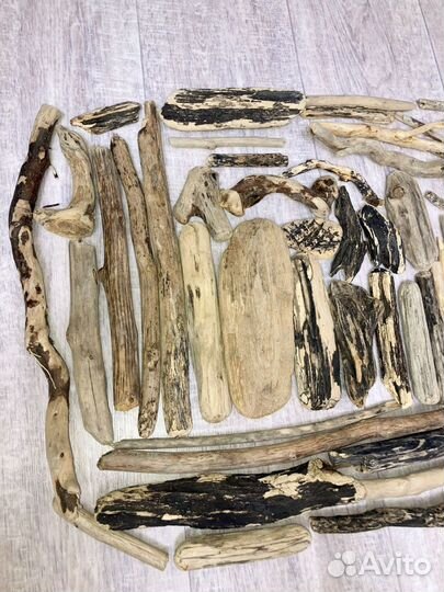 Дрифтвуд морское дерево для творчества