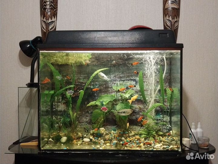 Аквариум 120 литров с тумбой