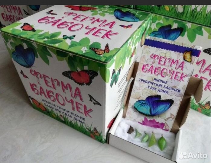 Детская Ферма Живых Тропических Бабочек д/ф-13