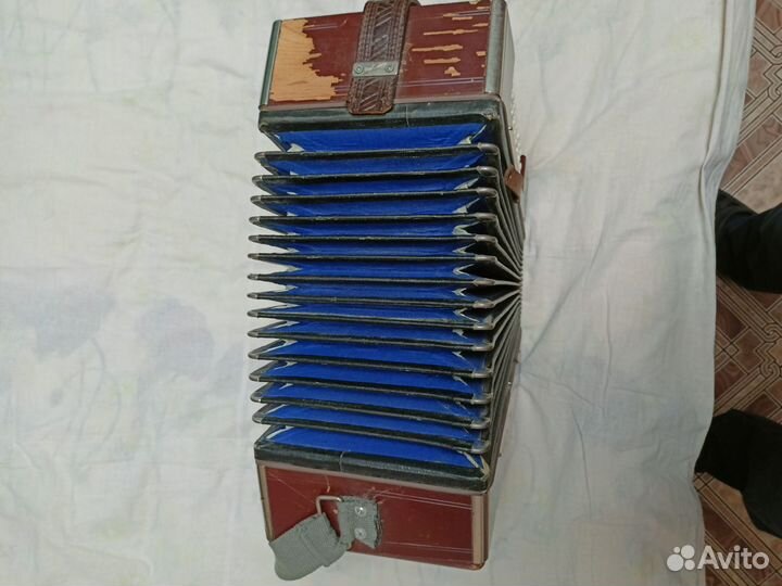 Гармонь шуйская
