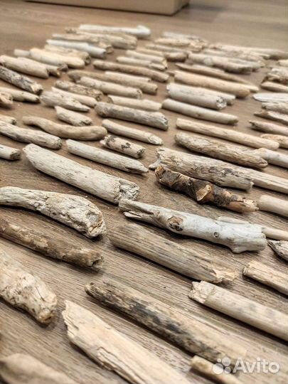 Дрифтвуд, коряги, палки