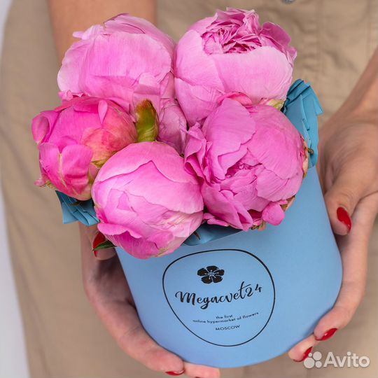 Букет 5 Малиновых Пионов в коробке