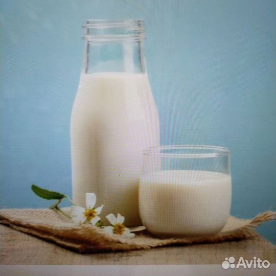 Молоко коровье оптом
