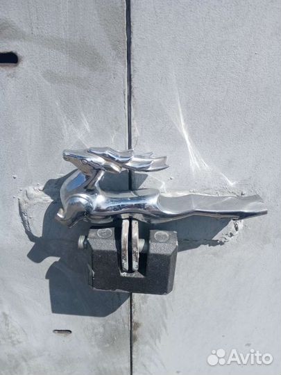 Олень на Волгу 21