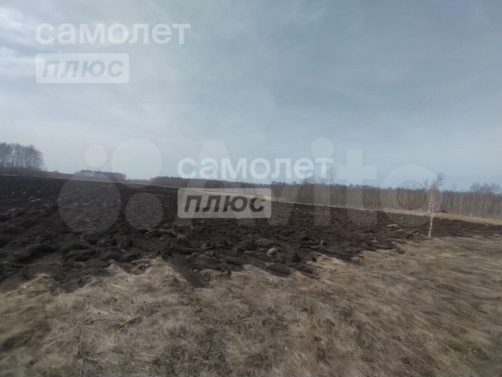 Участок 15,6 га (промназначения)