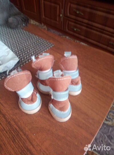 Ботинки для собак