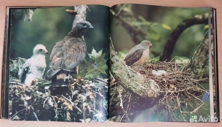 Книга-фотоальбом 