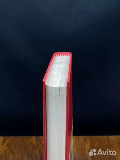 Большая Иллюстрированная энциклопедия. Том 19