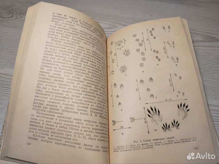 Биологические экскурсии, Измайлов, 1983