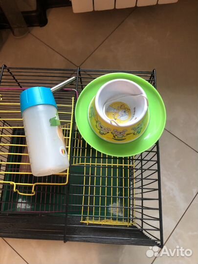 Клетка для хомяка бесплатно