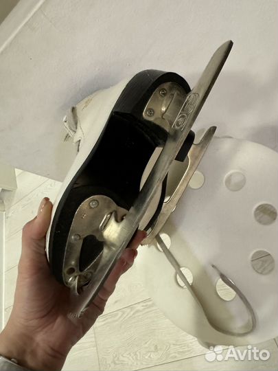 Коньки Graf montana