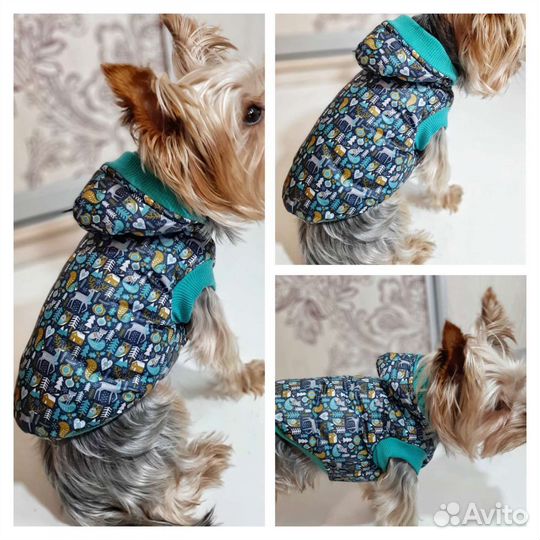 Одежда для маленьких собак и кошек, манекен