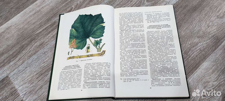 Лекарственные растения СССР и их применение