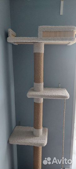 Когтеточка домик для кошки бу