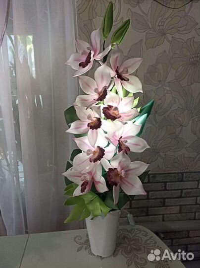 Орхидея цимбидиум