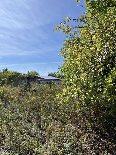 Участок 8 сот. (ИЖС)