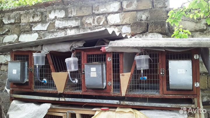 Клетки для кроликов