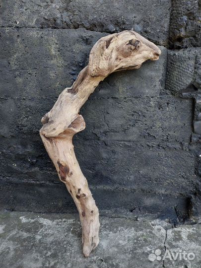 Коряги дрифтвуд