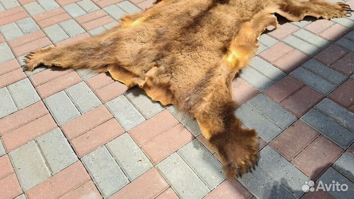 Шкура медведя (имитация)