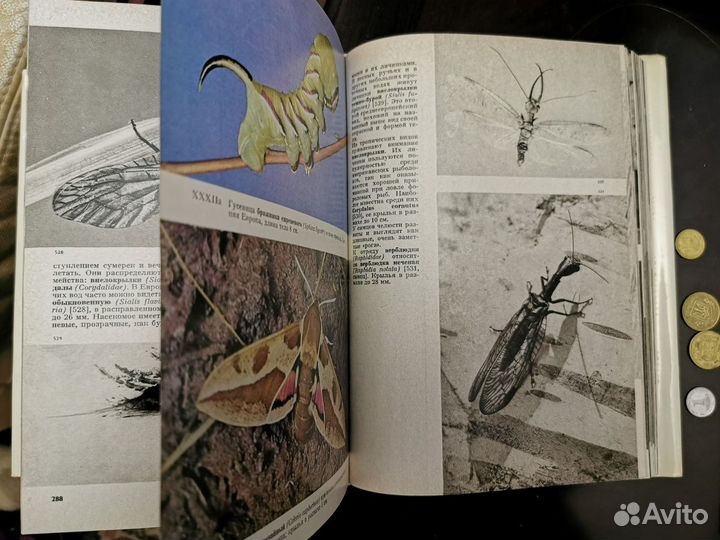 Книги Альбомы с Красочными Иллюстрациями